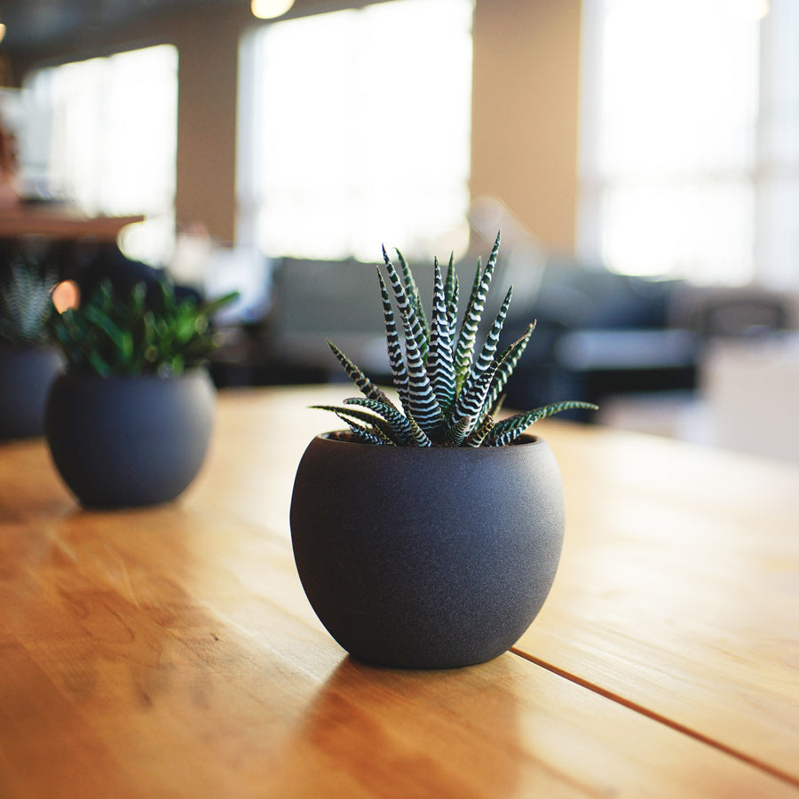 Round Gray Planter